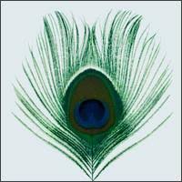 Xtc - The Last Balloon