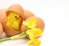 easter pics
