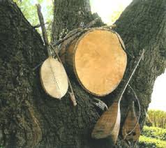 folk musical instruments