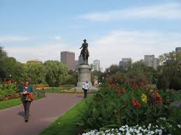 boston public gardens