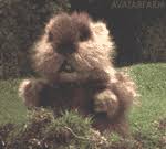 dancing gopher