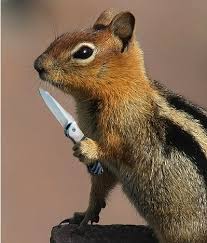 dont mess with me