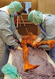 mummies unwrapped
