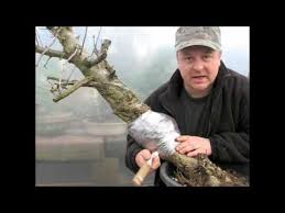 bonsai technique