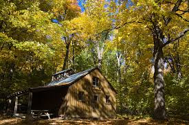 A cabin in the woods