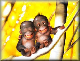 orangutang20smiles20galzq1.jpg