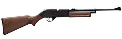 pumpmaster bb gun