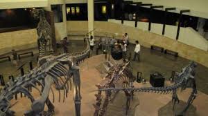 dinosaurs roar