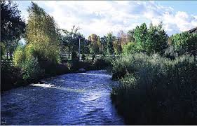 what county is montrose colorado in