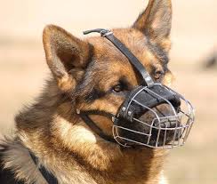 dog basket muzzles