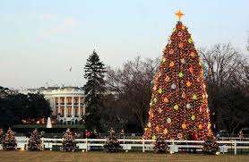 christmas in the white house