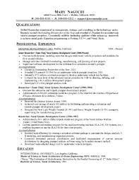 free resume example