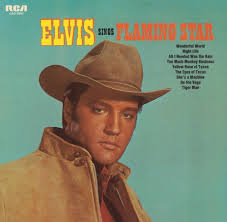 Elvis Presley - Flaming Star