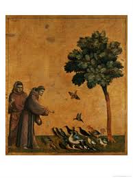 saint francis