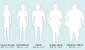 obesity rates graphs