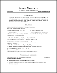 example of resume
