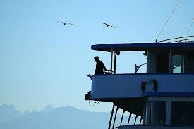 Bigstockphoto_captain_1362393