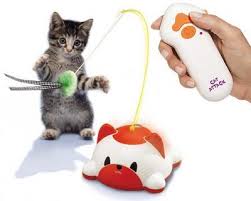 remote control cats
