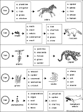 3rd grade review spelling test printable