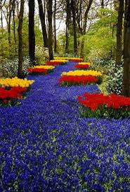 gardens in holland