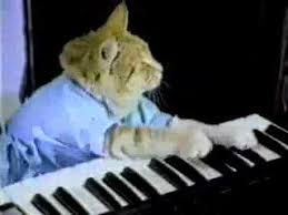 keyboard cat