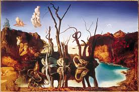 dali swans