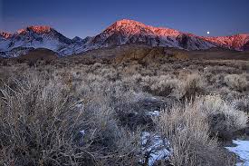 bishop ca