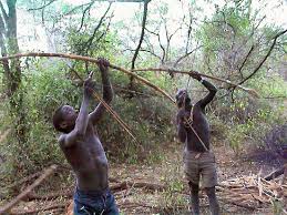 arrows hunting