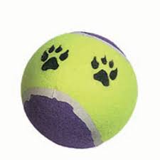 balle chien