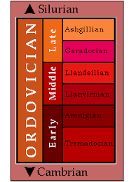 ordovician period