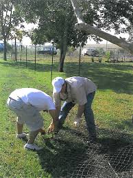 What are these Campbell Construction Company workers doing?