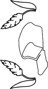printable coloring pages for sonic the hedgehog