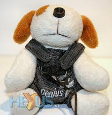 genius dog
