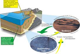 sedimentary rocks