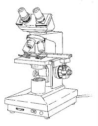 dibujo de microscopio