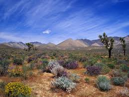 deserts of california