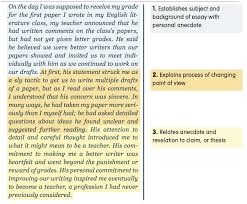 example essay