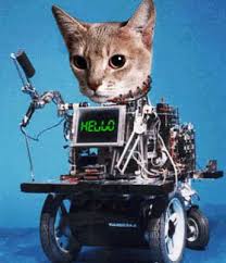 robot cat