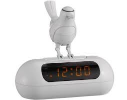 animated bird pictures