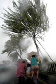 hurricanes and typhoons