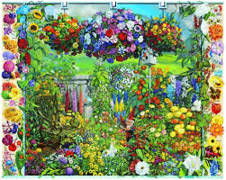 annual flowers photos