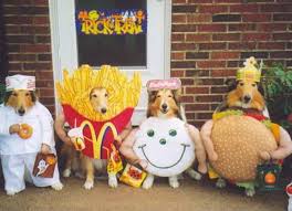 animals in halloween costumes