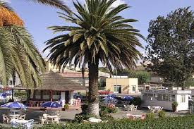 eritrea city