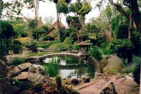japanese pictures