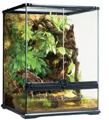 crested gecko terrarium