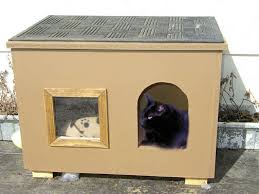 building cat house