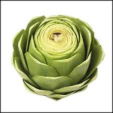 artichoke leaves