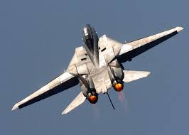 f 14 tomcat