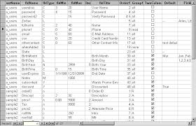 data dictionary example