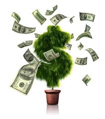 money grow